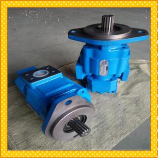 G10YG双联齿轮泵 P5100 P124 宣工推土机泊姆克泵 F100M487