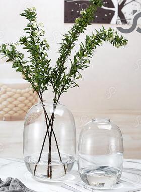 欧式简约客厅玻璃花瓶小口水培雪柳小手球百合玫瑰马醉木吊钟落地