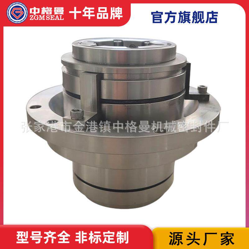 机械密封LP-D-SA-D31H5 120-DE1 压力筛机械密封 适配用安德里茨