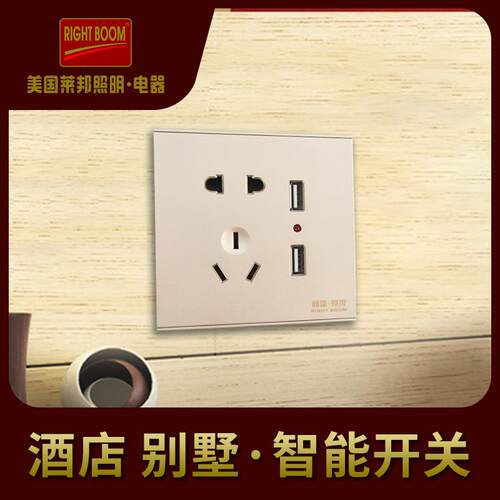 厂家销售家用办公室插座开关安全多款220-250V床头开关控制面板