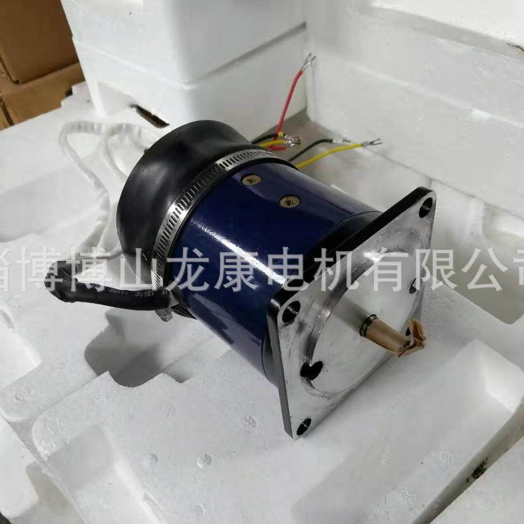 110SZ06C 转辙机电机 博山龙康电机带防水胶套250w160v专用电机