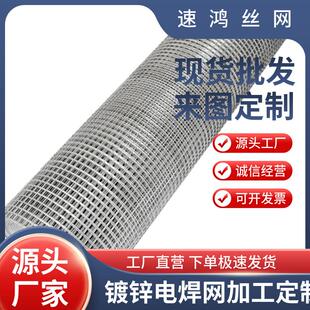 工厂供应抹墙网 热镀锌电焊网 建筑内外墙防裂抹灰网批荡网挂浆网