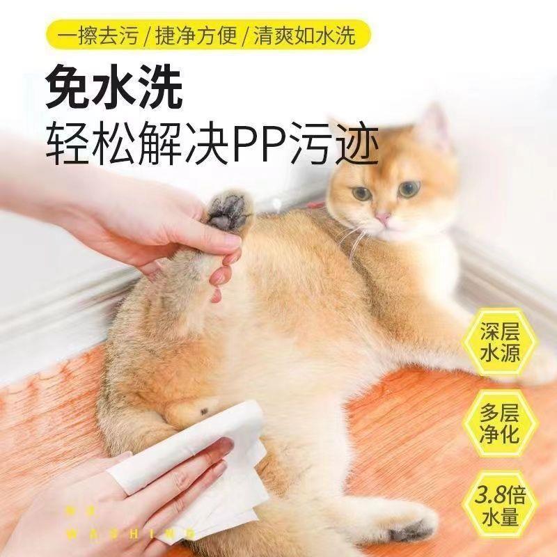 清洁用品护理宠物湿巾猫咪狗狗除臭专用湿纸巾免洗擦脚去泪痕D2