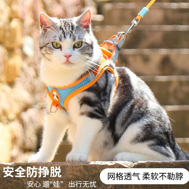 猫咪牵引绳防挣脱外出专用猫绳小奶猫溜猫神器宠物防丢胸背带链D2