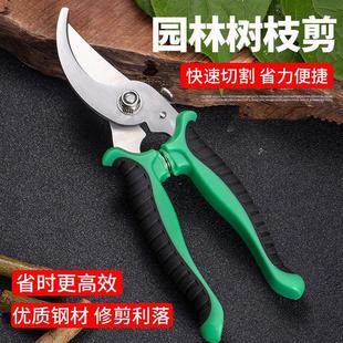 花剪枝园艺剪刀修枝剪省力修剪树枝果树竹签园林花卉专用花艺剪D2