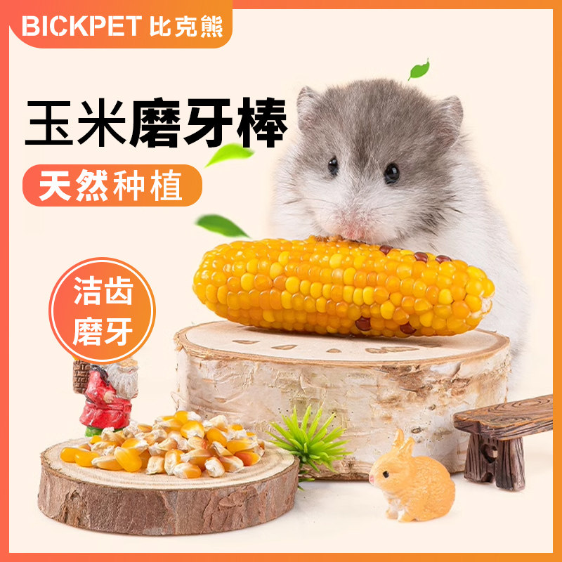 仓鼠零食磨牙棒迷你小玉米金丝熊营养粮食兔子花枝鼠造景用品神器,宠物/宠物食品及用品,鼠粮,淘宝优惠券,粉丝福利购,淘宝优惠卷