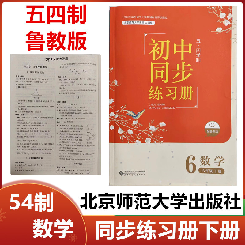 2024版五四制鲁教版初中同步练习册数学六年级下册北京师范大学出版社54制初一6年级数学下册同步练习册