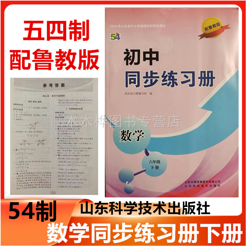 2026春五四制配鲁教版初中同步练习册数学六年级下册山东科学技术出版社54制初中初一六年级数学下册同步练习册6年级数学同步练习