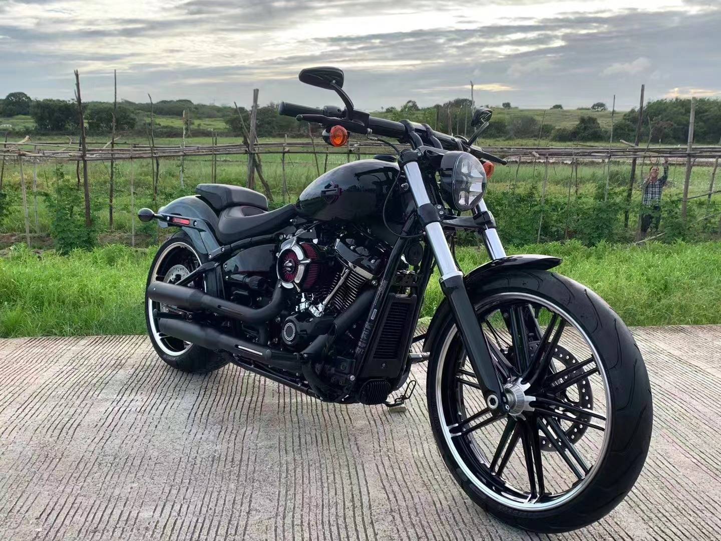 进口哈雷重机金刚狼硬汉883夜路德x48复古v缸太子金吉拉300摩托车