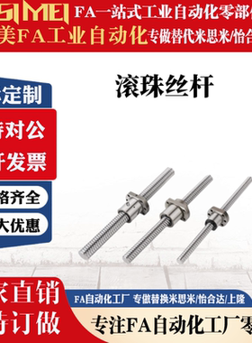 滚珠丝杆 BSWE0802/1020 BTWE1204 1510 1516 15520 160 1610AVF