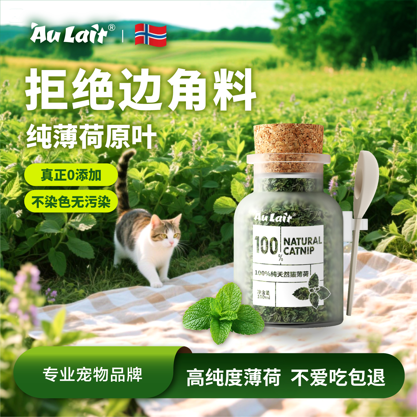 猫薄荷整叶可食用高纯度化毛猫草粉末诱猫喝水快乐水猫咪强力零食