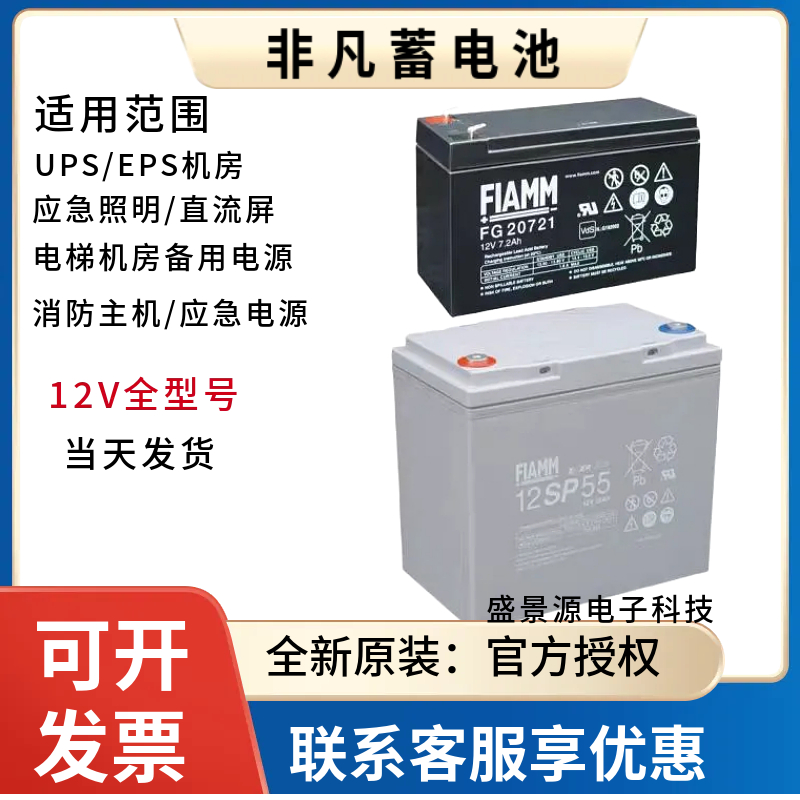 FLAMM非凡蓄电池12SP/12V7AH17AH24AH65AH100AH200AH/铅酸免维护
