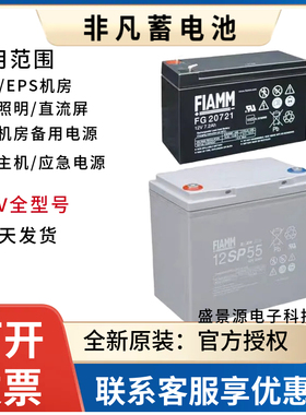 FLAMM非凡蓄电池12SP/12V7AH17AH24AH65AH100AH200AH/铅酸免维护