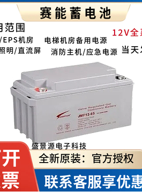 赛能蓄电池SN12V65CH 12V7A17A24A38A55A65A100AH直流屏UPS电源