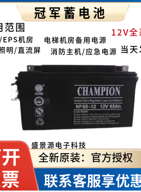 冠军铅酸蓄电池NP10012v100ah12v38ah12v65ah12v150ah12v200ahUPS