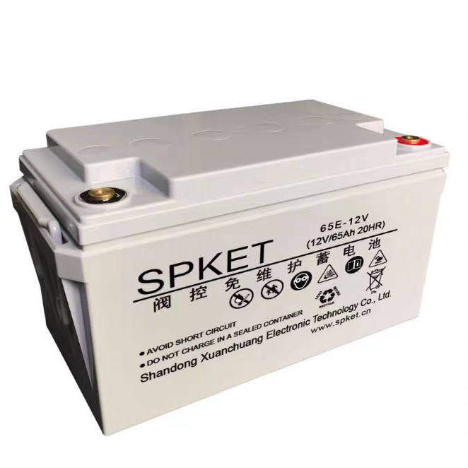 斯恩特SPKET UPS机房蓄电池电力配套-6-FM 12V24AH38AH65AH100AH