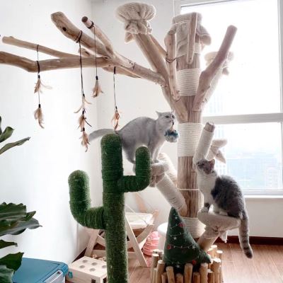 精品猫爬架枯树干实木树枝树杈造型树服装店橱窗装饰假树造景套装