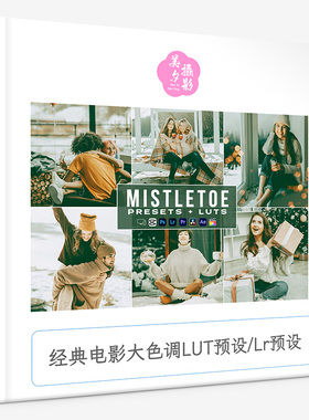 经典电影大色调LUT预设Lr预设 Mistletoe Filme Video Lut