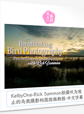 KelbyOne-Rick Sammon拍摄叹为观止的鸟类摄影构图指南教程中文字