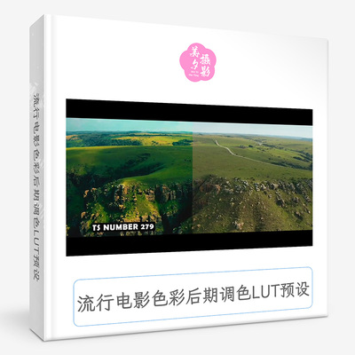 流行电影色彩后期调色LUT预设 Popular Filmmaking LUTs Library