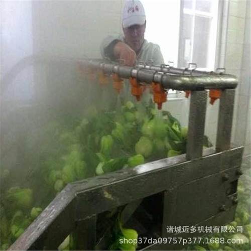 全自动新鲜蔬菜清洗机青菜清洗机泡菜加工设备杀菌高效莴苣