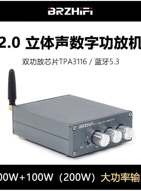 伟良BL53A TPA3116 2.0数字功放机家用桌面100W*2红环电感蓝牙5.3