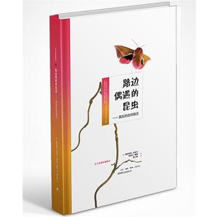 昆虫：真实 路边偶遇 自然精灵 9787807682189 有限公司 生活书店出版 文