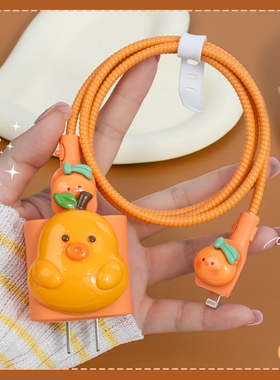 适用于20w苹果16pro手机充电器数据线保护套iPhone15/14防折断13数据线两端保护套iPhone16印花款手机壳iPad