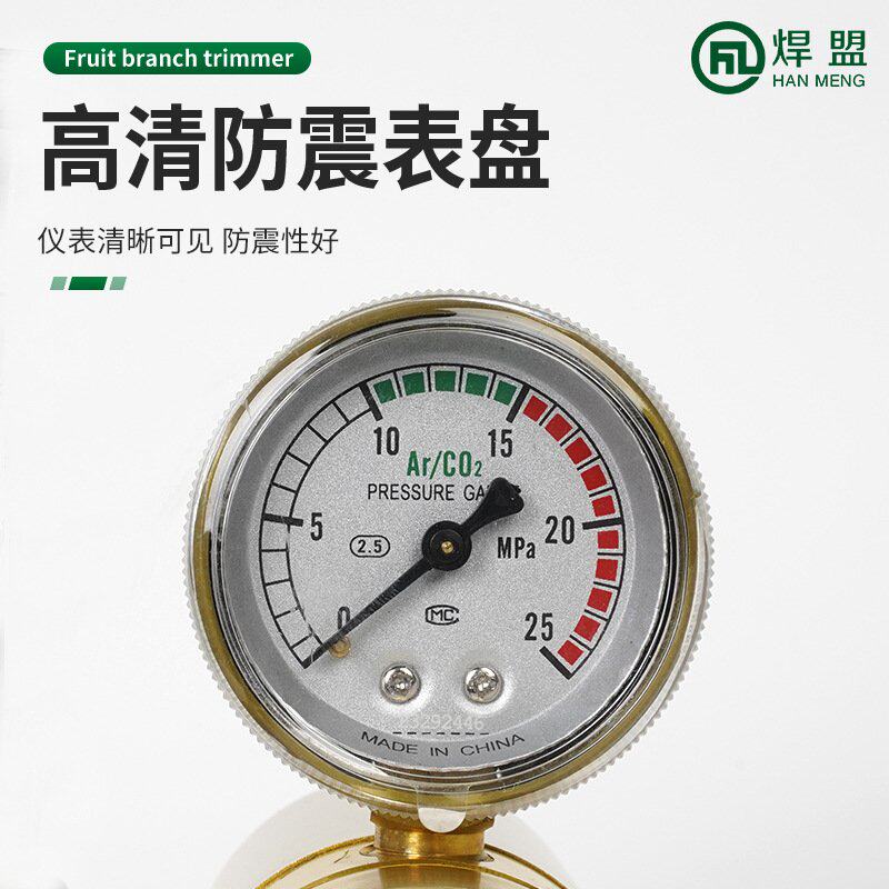 防震减压器36V220V电加热C02压力阀减压阀二保焊配防爆二氧化碳表