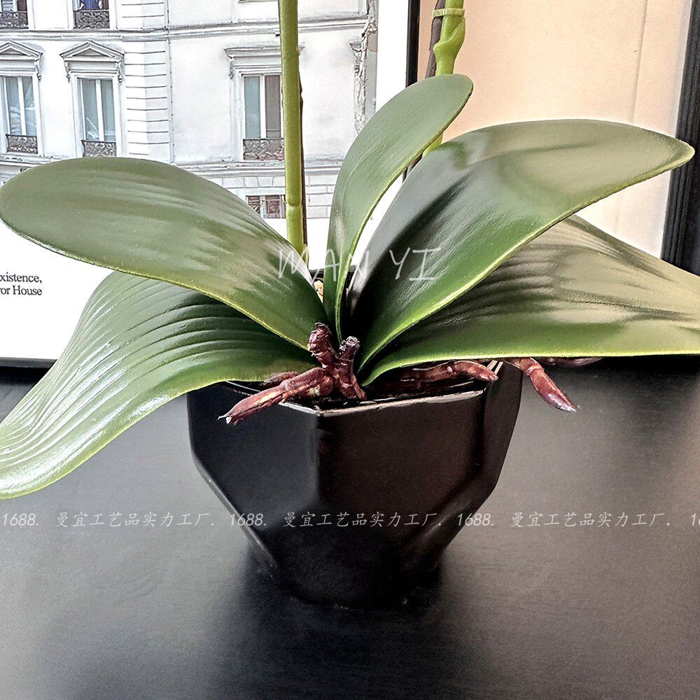 假花3D打印胶片手感蝴蝶兰盆景仿真花人造植物仿真盆栽花卉仿生