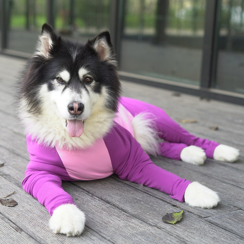 秋冬防掉毛大型犬衣服护肘全包宠物四脚衣金毛拉布拉多大狗现货