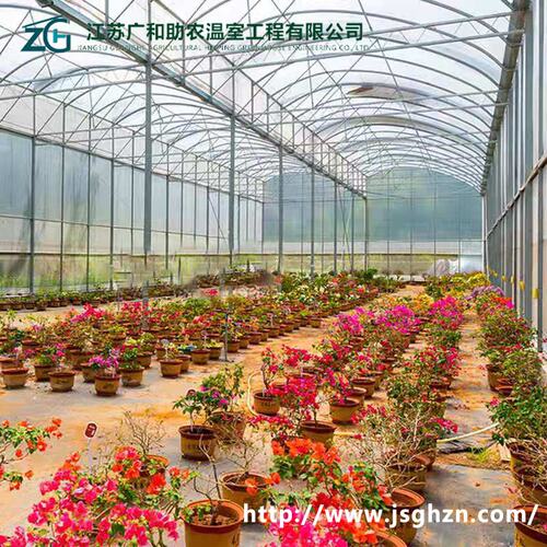 新型连栋温室大棚农业观光智能养植栽培玻璃温室建造简易蔬菜棚