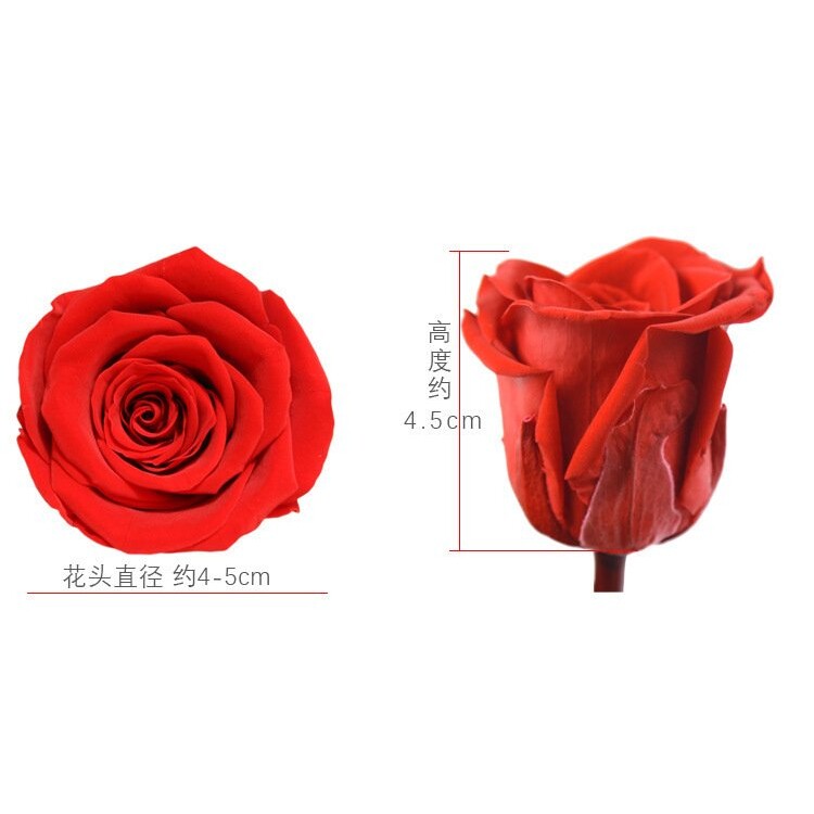 七夕情人节永生花玫瑰4-5cm花头好品质B级8朵装DIY花艺教学材料
