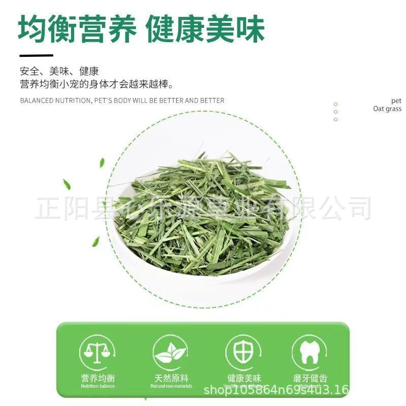 晒干燕麦草兔子草国产牧草喂羊驼荷兰猪宠物店食用磨牙干草