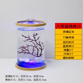 创意生态瓶鱼缸迷你小型玻璃鱼缸桌面微景观赏办公室水族箱包邮