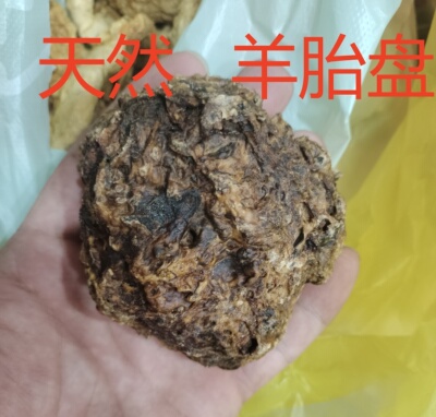 羊胎盘天然羊胎盘羊胎素磨粉