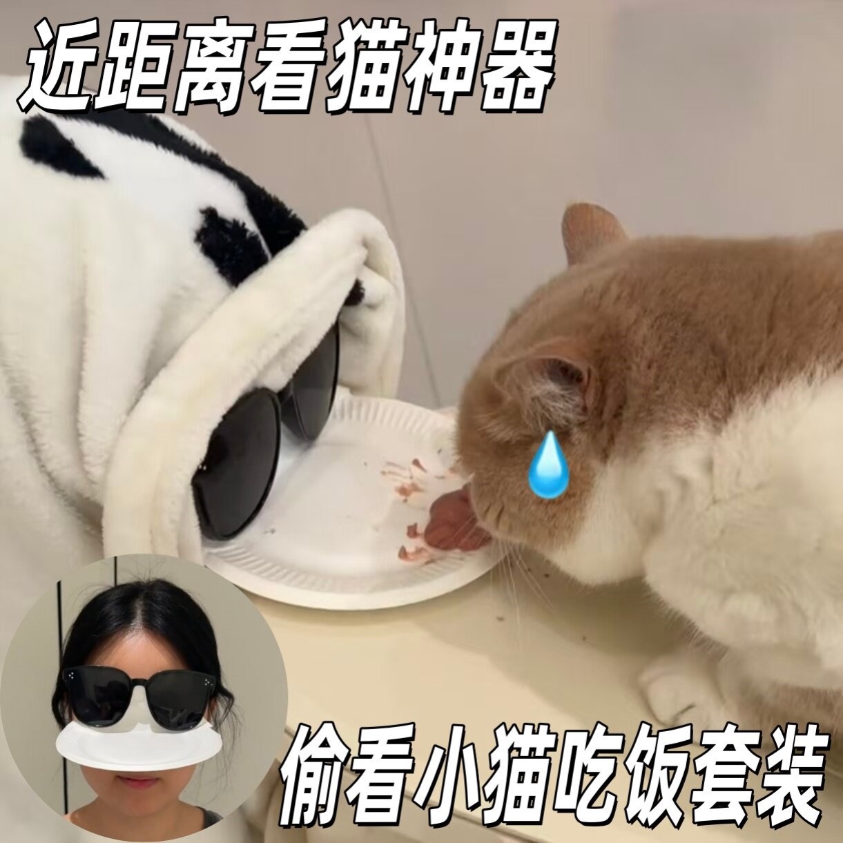 看猫神器偷看小猫吃饭套装