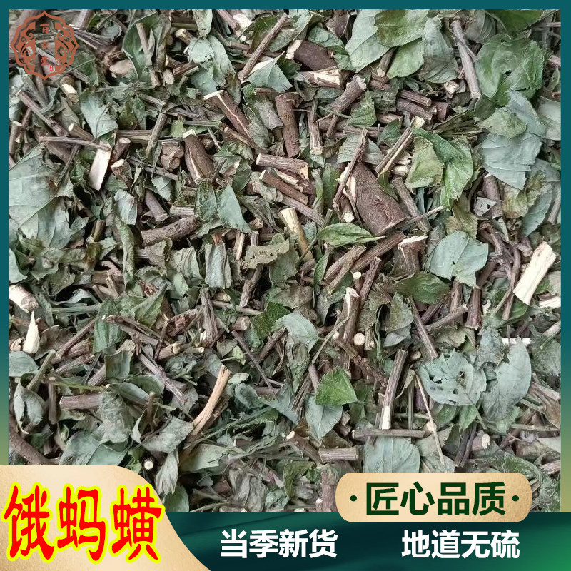 广西饿蚂蝗 小槐花 粘身草 红掌草 山蚂蝗500g野生胃痛草,吊马花