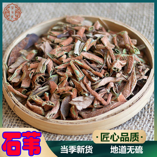 中药材石韦 小叶石韦 石韦草 石背柳 石兰 散装500克石伟草药干货