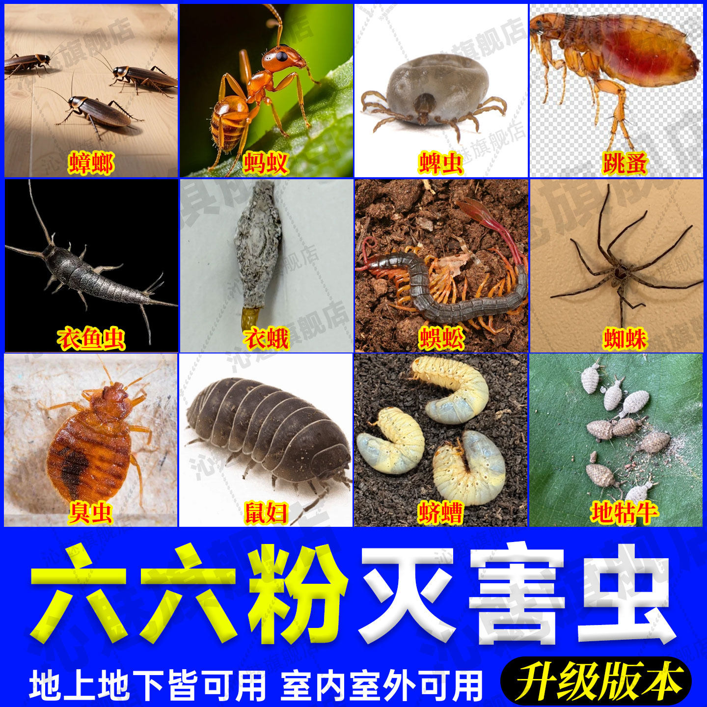 六六老式杀虫粉家用百虫灵跳蚤药图片