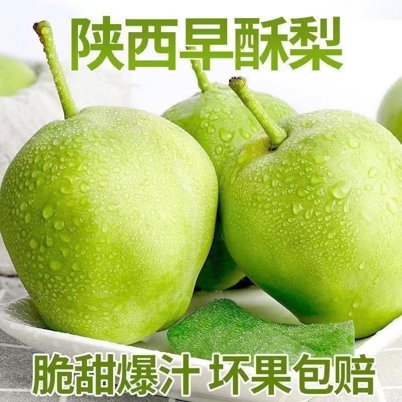 陕西早酥梨新鲜水果梨子当季现摘青梨水晶青酥梨脆甜雪梨整箱