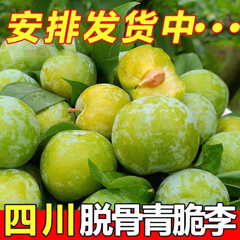 正宗四川脆甜脱骨李子应当季青脆酸甜脱骨李冰糖李子新鲜水果整箱
