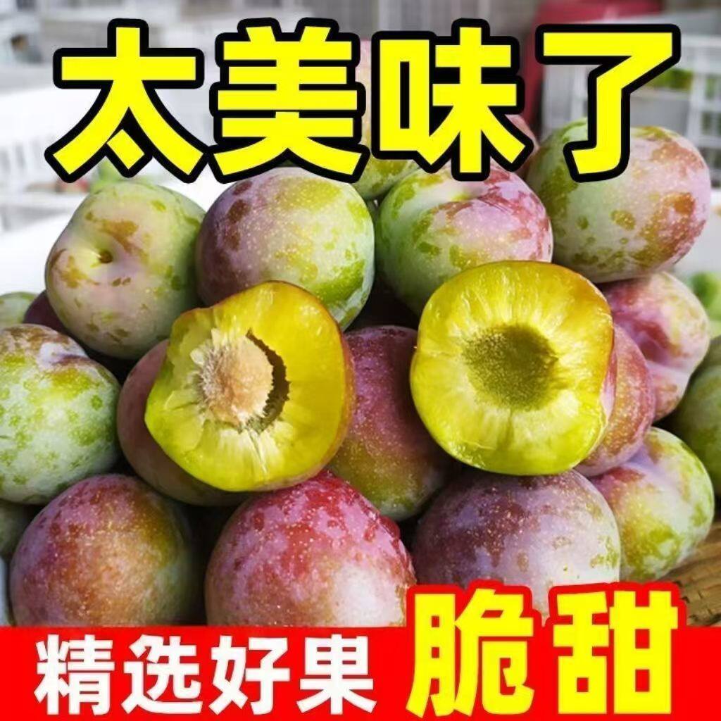 四川脆红李脱骨李半边红3斤应季新鲜水果青脆甜冰糖李子整箱包邮