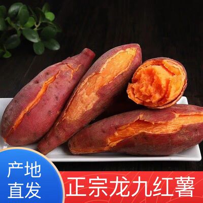 正宗蜜薯红薯龙九沙地红心现挖黄心番薯新鲜糖心地瓜板栗山芋批发