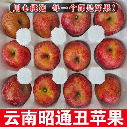 云南昭通市丑苹果水果当季5斤富士糖心苹果红露绍通包邮整箱好吃