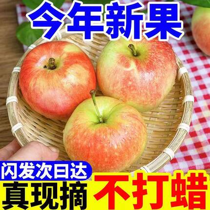 正宗嘎啦果脆甜新鲜苹果香甜多汁5斤冰糖条纹苹果脆甜整箱批发3斤