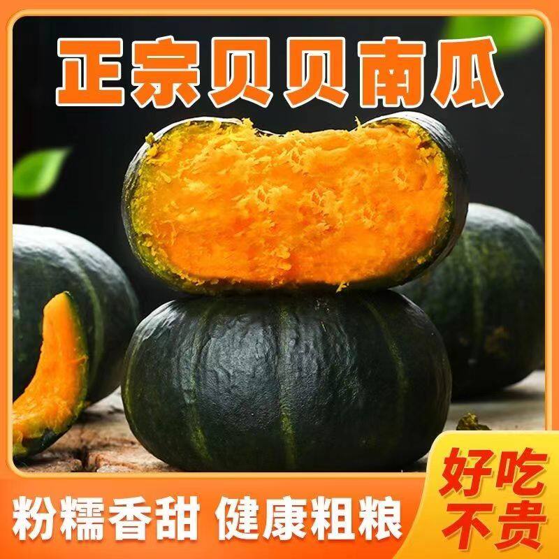 正宗新鲜贝贝南瓜小南瓜粉面香甜板栗味婴儿宝宝辅食孕妇肉厚干面