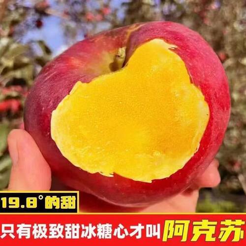 正宗新疆阿克苏冰糖心苹果新鲜时令水果当应季富士苹果整箱
