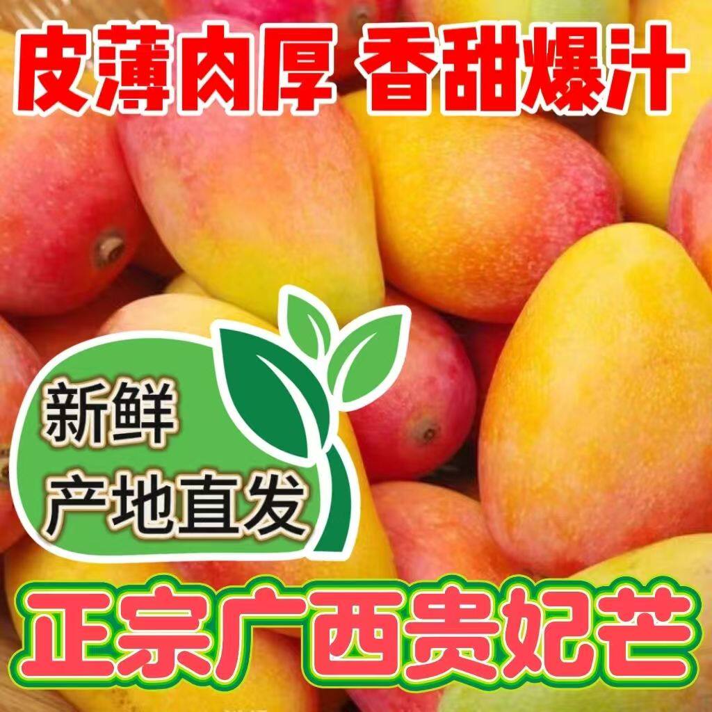 广西贵妃芒新鲜芒果应当季水果树上熟红金龙辣椒芒甜心芒大果整箱