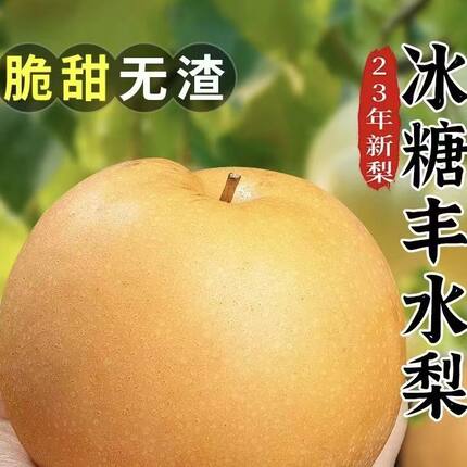 2026新鲜丰水梨5斤现摘水果当季水果整箱梨子大果产地直发